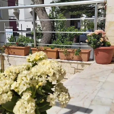 Hotell Erciyes *