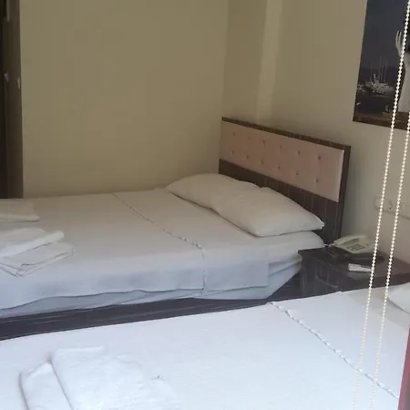 Erciyes Hotel *