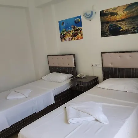 Erciyes Hotel *